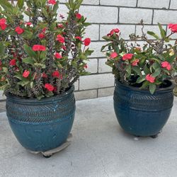 2 Vase Pot With Flowers 
