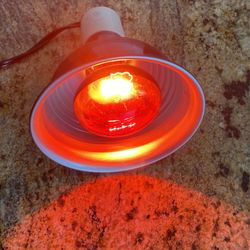 Pet Med Single Dome Light