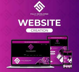 Need a Professional Website?