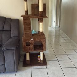 Tall Cat Tree