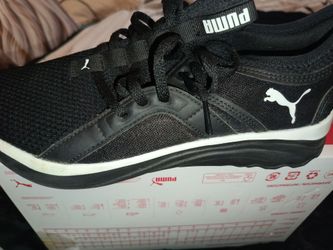 Puma