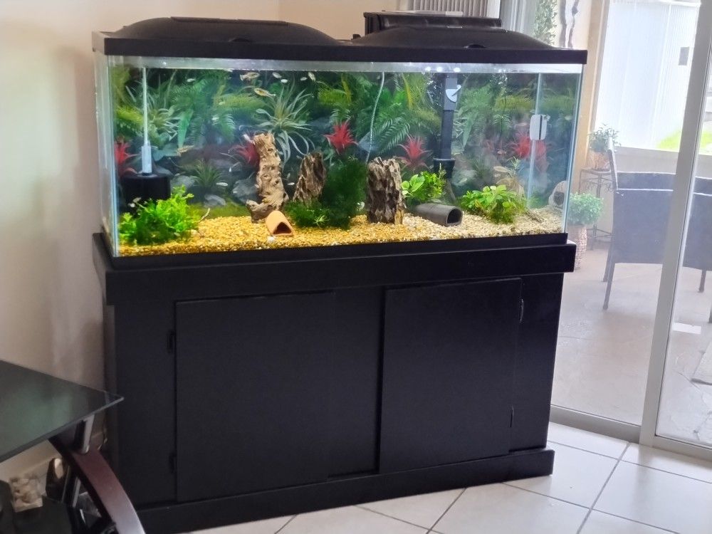 55 Gallon Marineland Aquarium Kit and Stand (All The Equipment Included)
