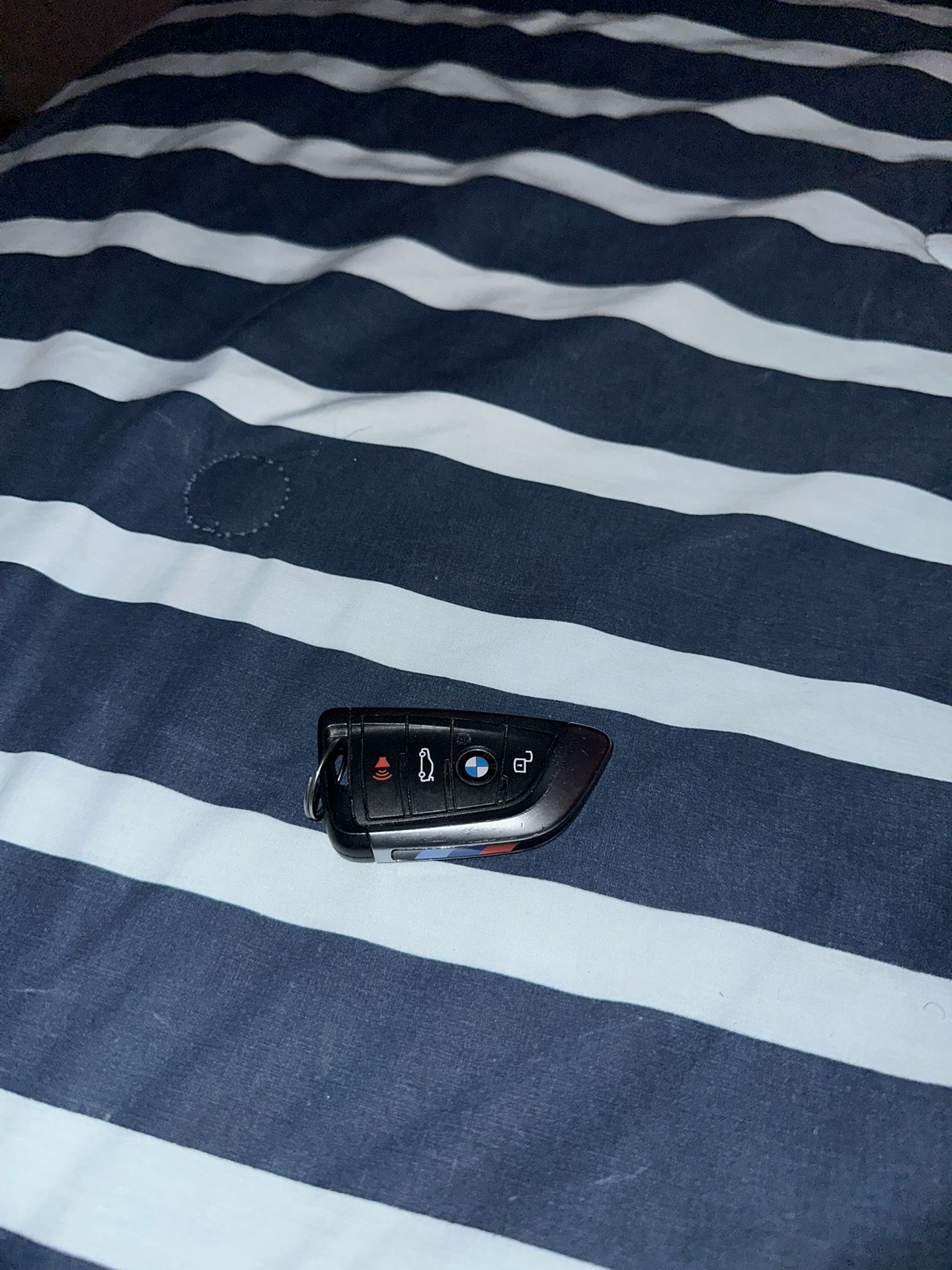 BMW Key