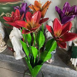 Flores 