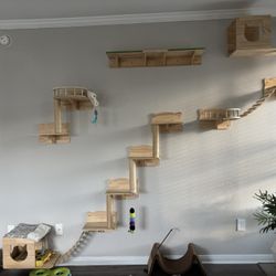 Cat Wall Condo