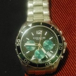Stainless steel coach watch
