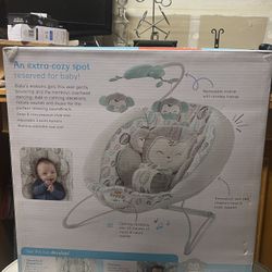 Fisher-price delux baby bouncer