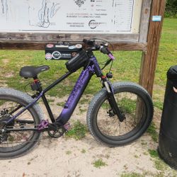 HiBoy P6 CUSTOM PAINTED Best Offer