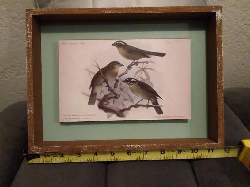 Pending Pickup.       Birds Art NEW $19.99 Retail