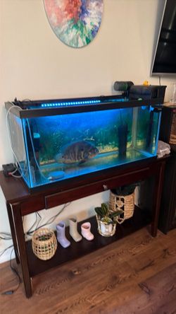Large Glass Fish Tank Aquarium with LED Light