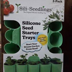 Sili Seedlings