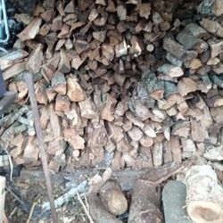 Dry Split Firewood 