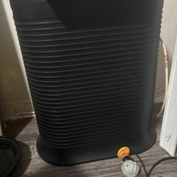 Everything In The Apartment Must Go Moving 