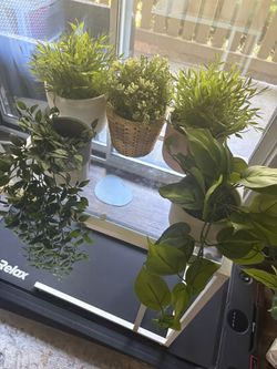 Assorted Fake Plants / Pots 