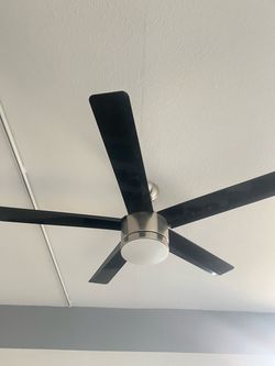 Modern Black Ceiling Fan with Light