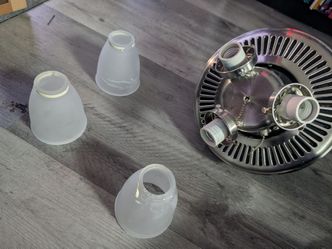 Ceiling Fan with Lights