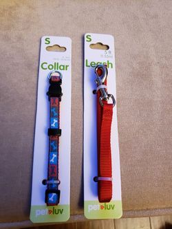 Dog Collar and Leash