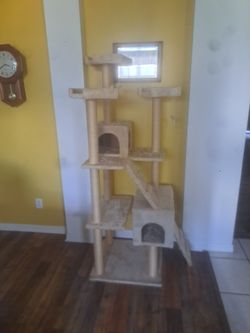 Cats