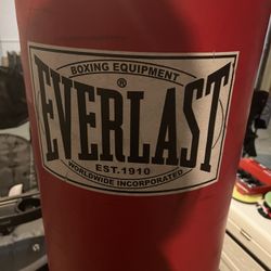 Everlast Punching BG