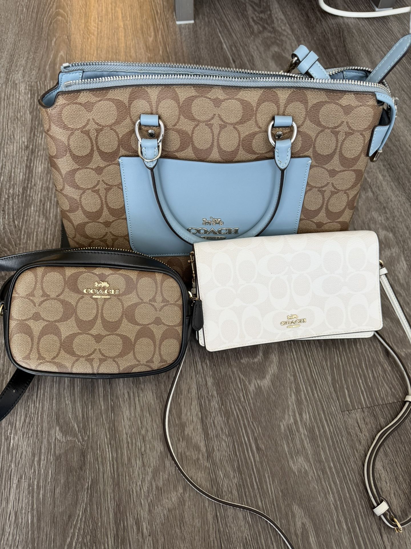 Coach Bags + Purse 