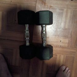 A Pair Of 15 Lbs Dumbbells 