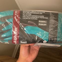 Gloves