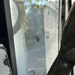 Black Wooden framed plate glass mirror. 2 1/2’foot x 5 1/2 ‘ foot   $150.