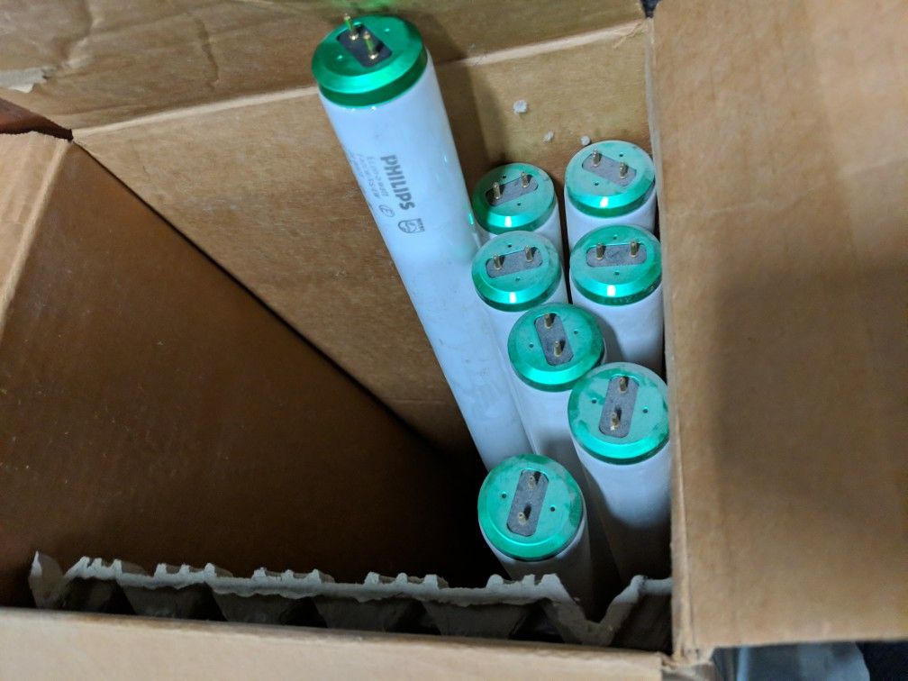 F40 30W BULBS