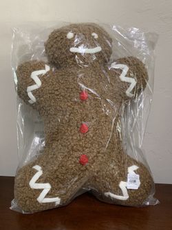 Pottery Barn Mr Spice Gingerbread Pillow