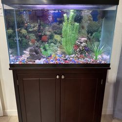 30 gal Fish Tank with Stand/Tools/Decor