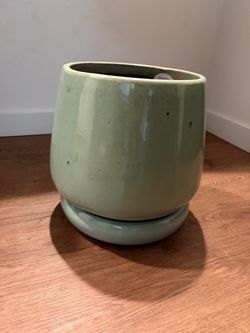 Plant vase