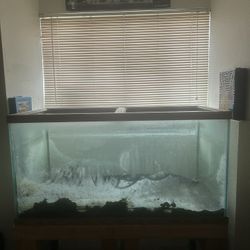 120 Gallon Fish Tank