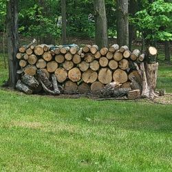 Firewood For Camping! 