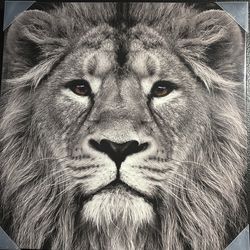 Majestic Lion Portrait - Large Black & White Canvas Print - Wildlife Wall Art