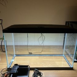 30 Gallon Fish Tank