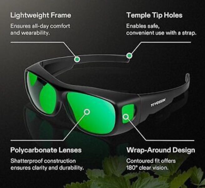 New outdoor glasses.
