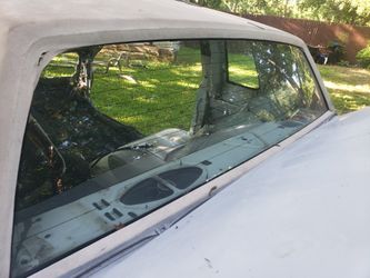 Gbody Glass Special-Today only