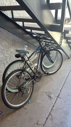 Bike $30 x2