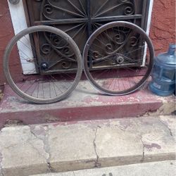 Bike Rims