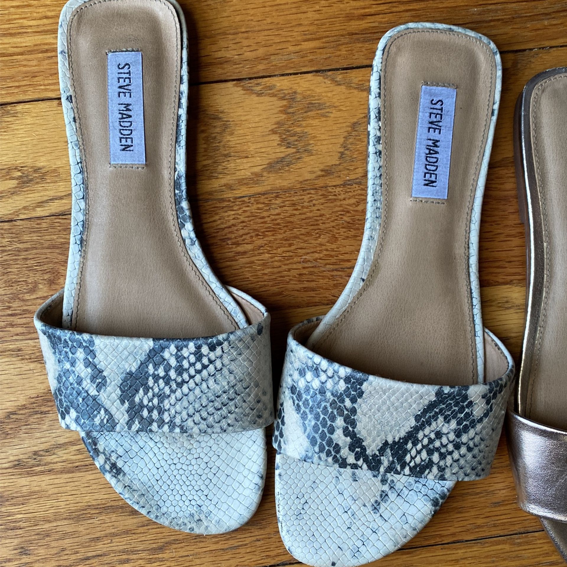 steve madden