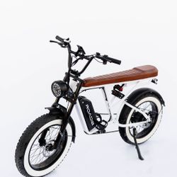 Electric Bikes 750w - Front And Rear Suspension -