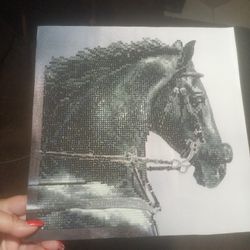 Finished Diamond Dots Black Stallion 