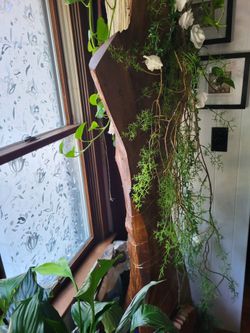 Large log decor