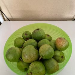 Guayabas