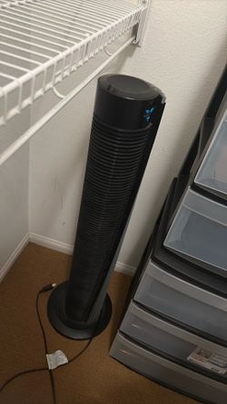 Fan