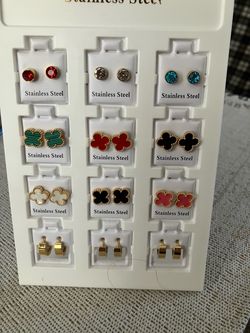 Stainless Steel Earrings