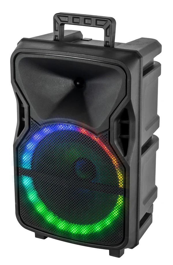 Pulse-12 Speaker