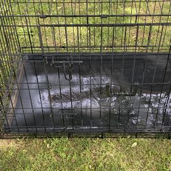Dog Crate