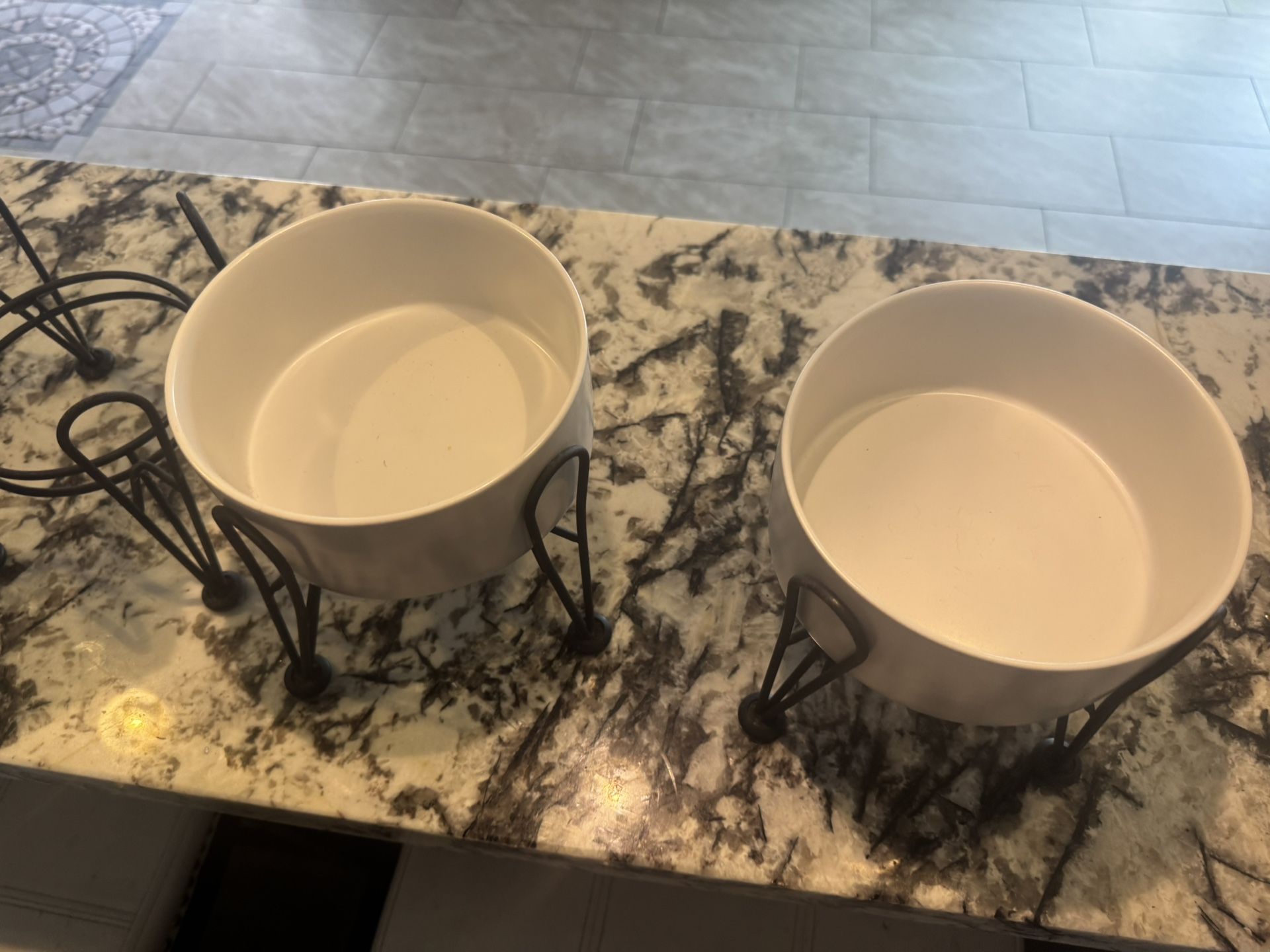 Dog Bowls 