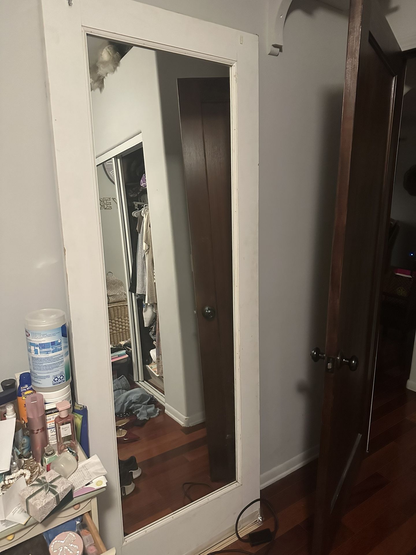 Door Mirror